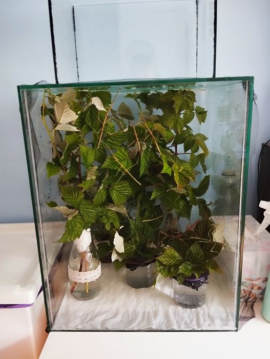 Akwarium 80l 40x50x40cm