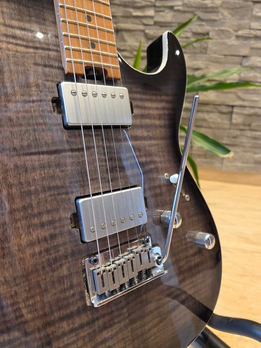 Cort G290 Fat II TBB