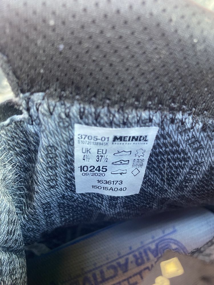 Німецькі берци 37р.