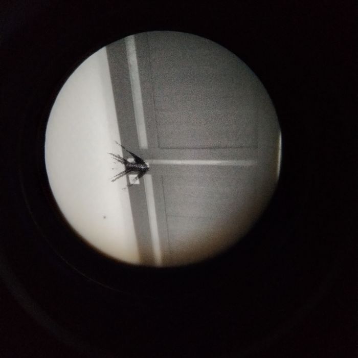 PVS 14, gen3+ white монокуляр білий нічого бачення