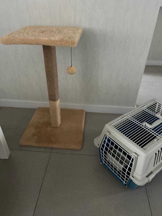 Переноска для тварини+кігтеточка в ПОДАРУНОК