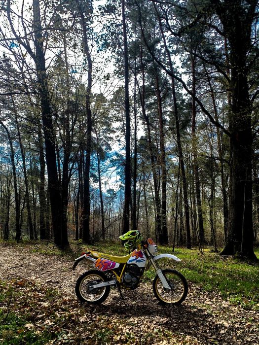 SUZUKI DR 350 Super Stan !