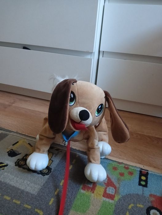 Piesek boogie zabawka