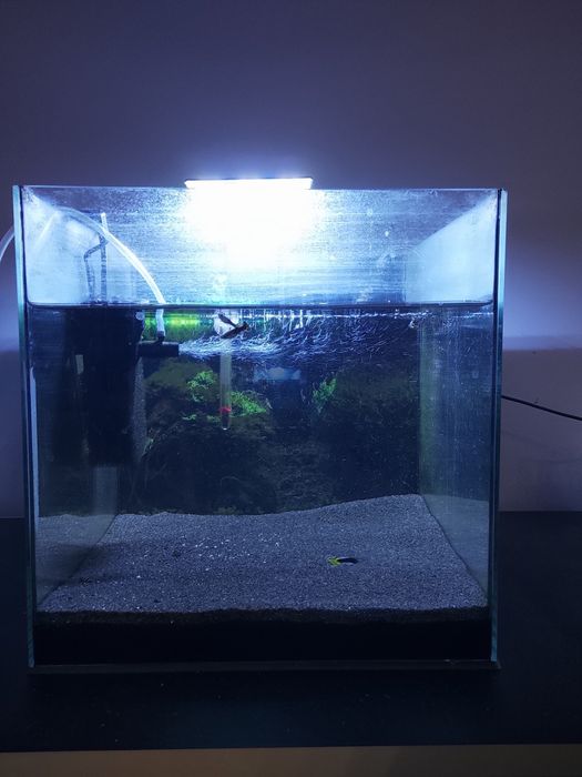 Akwarium kostka 30x30x30