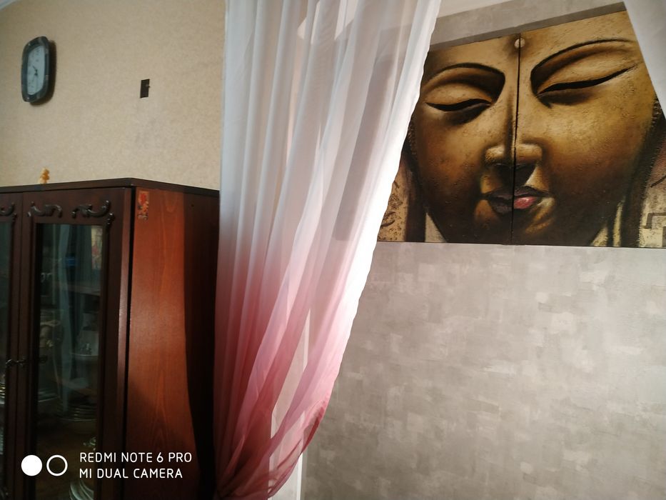 Срочно сдам квартиру в Приморском районе!Можно с собачкой!