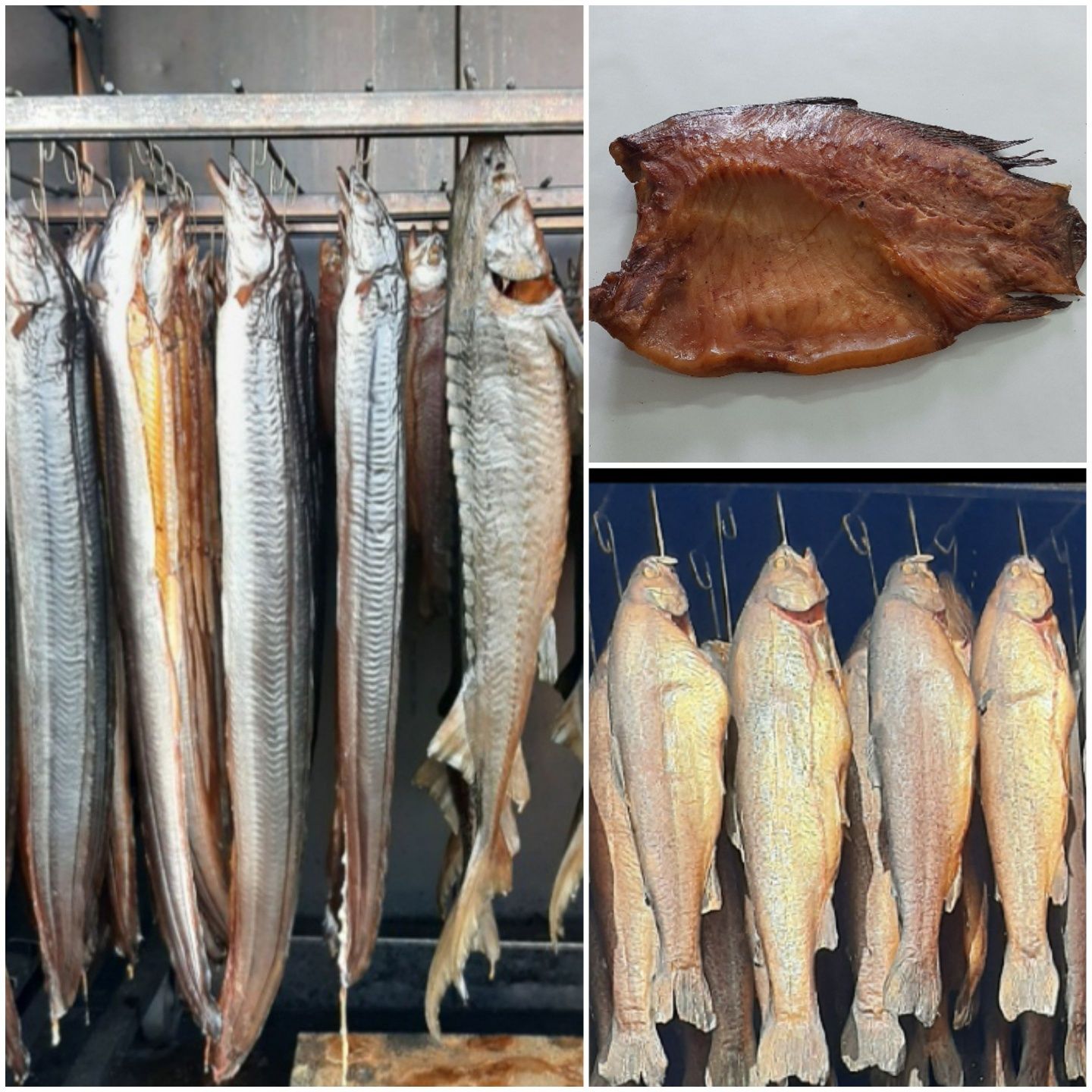 Ryby wędzone oraz przetwory z ryb