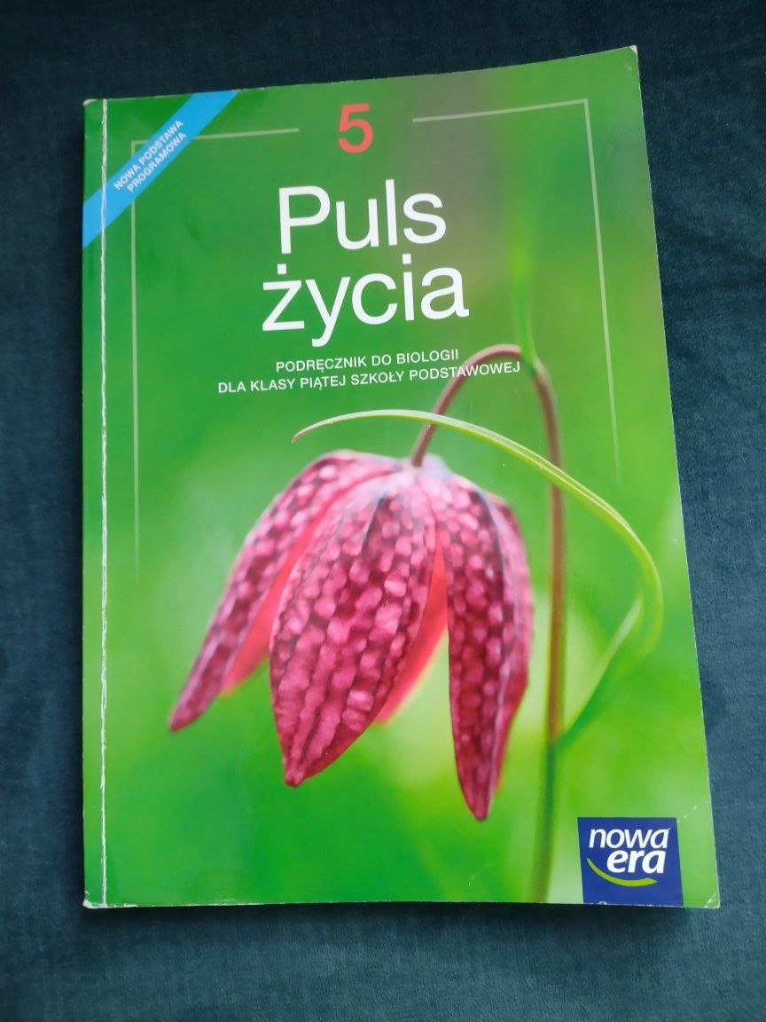 Puls życia 4 Podręcznik Nowa Era