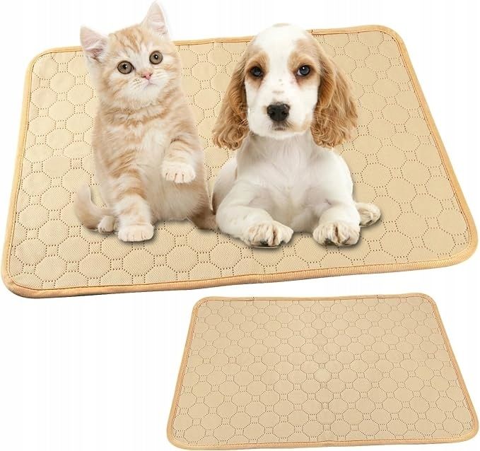 Mata treningowa dla zwierząt 45x60cm UKOFEW