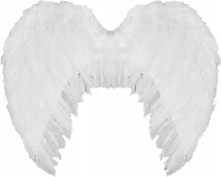 Skrzydła Anioła + Aureola