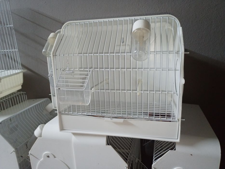 Gaiolas de exposição de aves