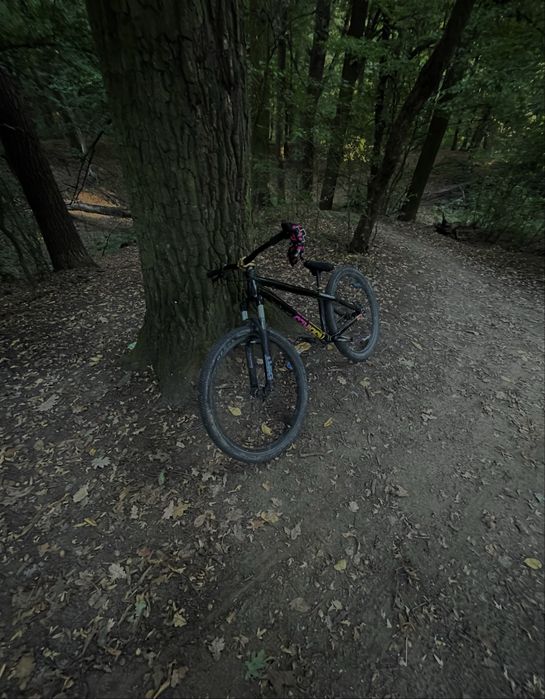 NS Bikes Zircus 2021