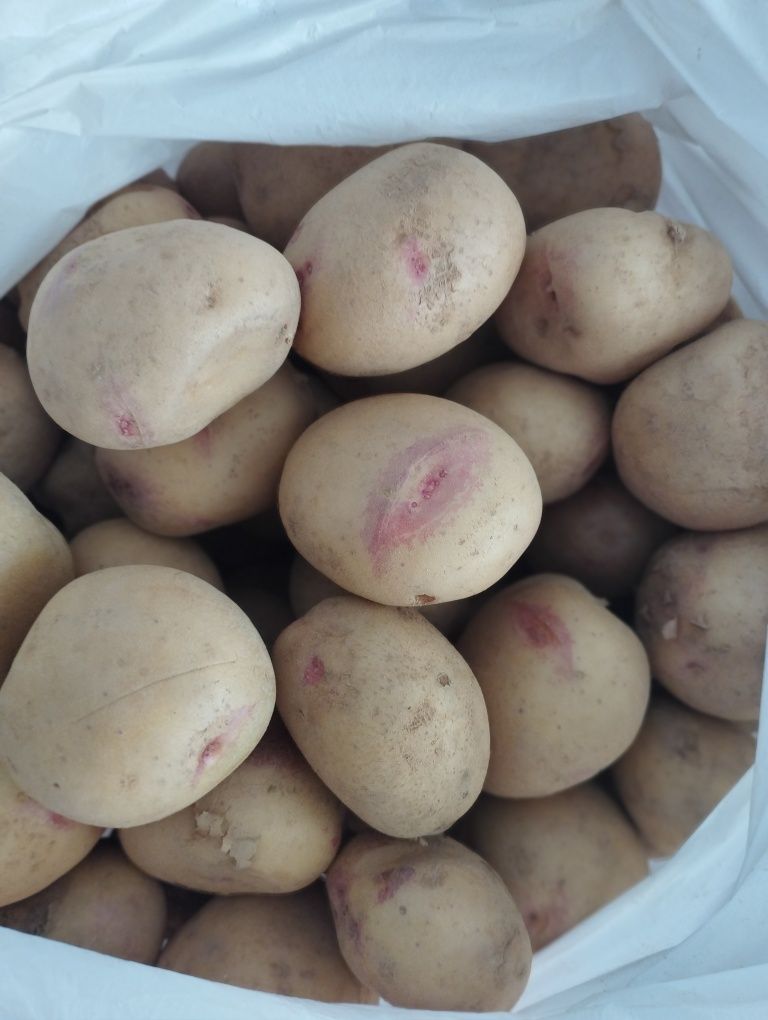 Batatas brancas ler o anúncio