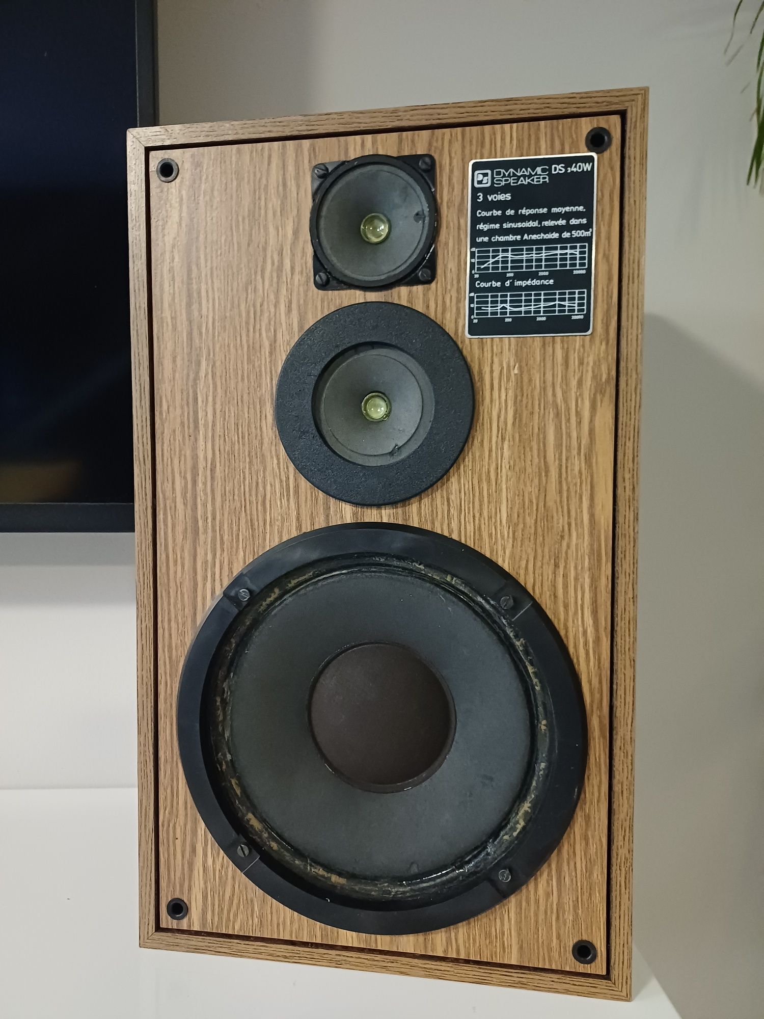 Kolumny TONSIL Unitra Dynamic Speaker DS3 40W 2szt