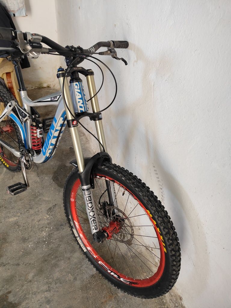 Giant glory Downhill