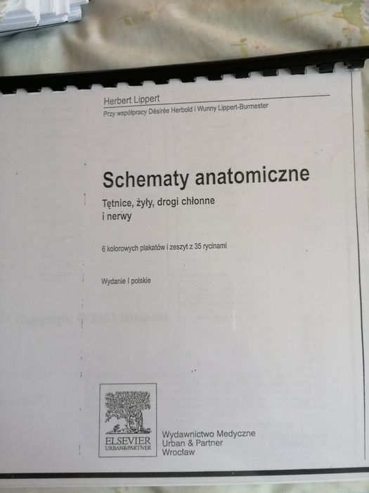 Schematy anatomiczne