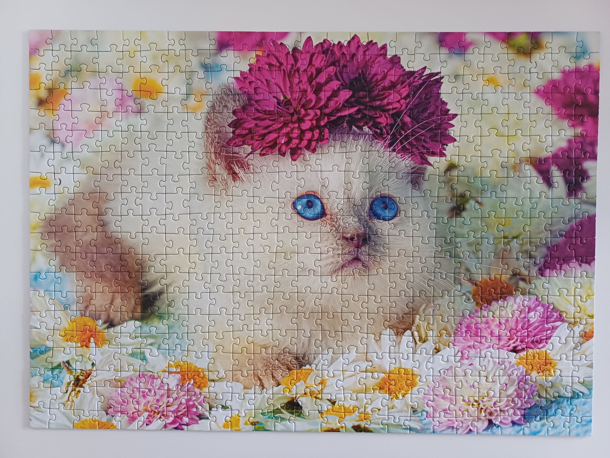 Puzzle Trefl 2x500,1000 kotki edycja limitowana