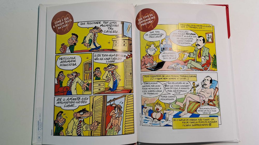 livro - o mini-guia da Virgem