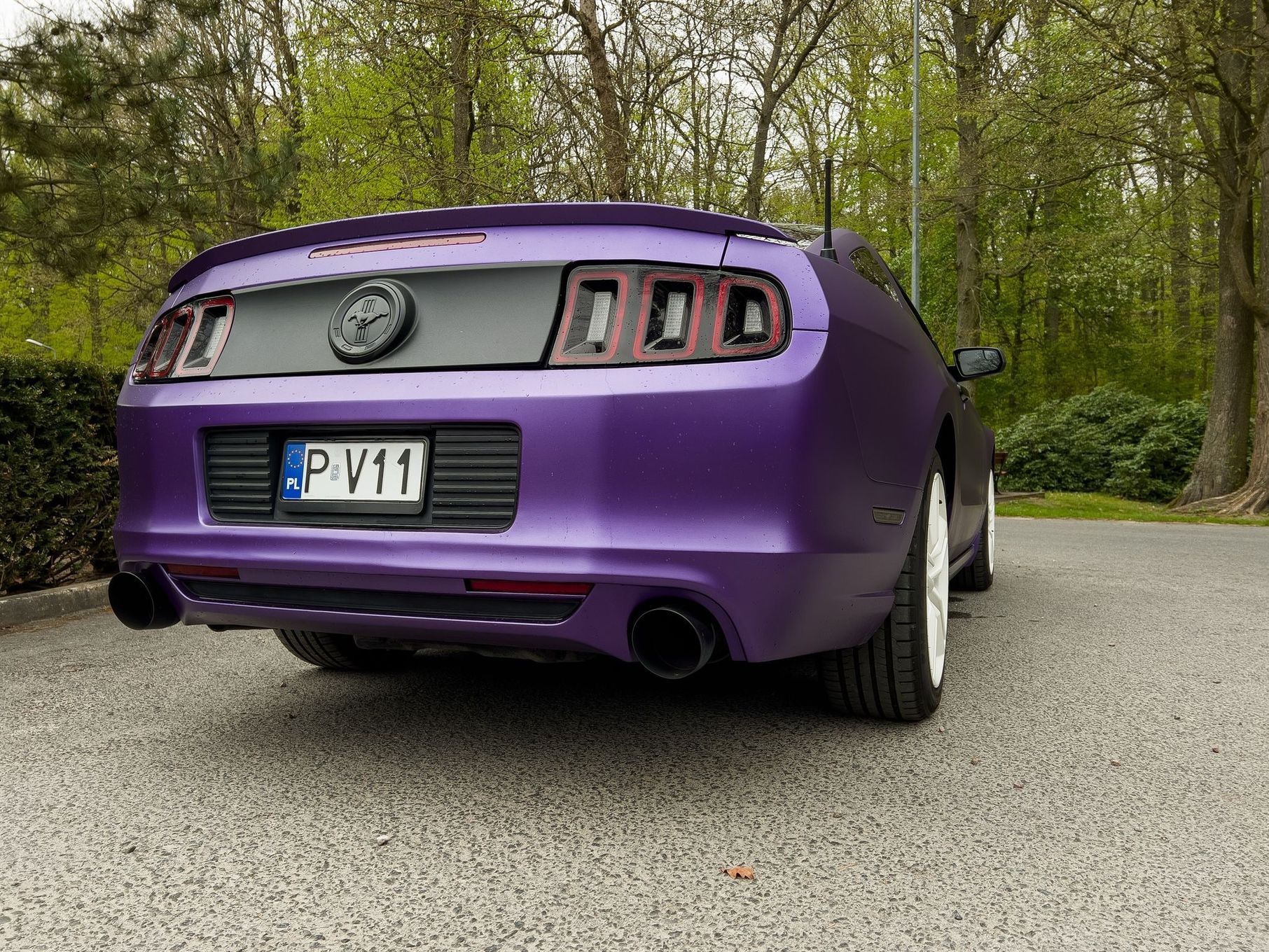 Ford Mustang Godne uwagi