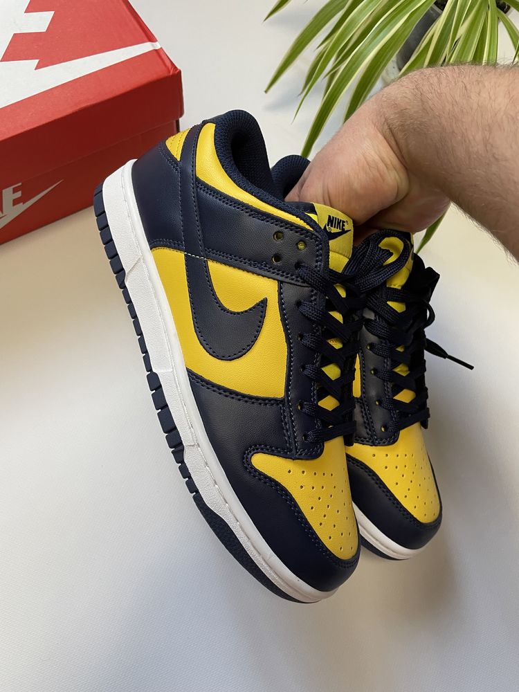 Nike dunk Michigan 42