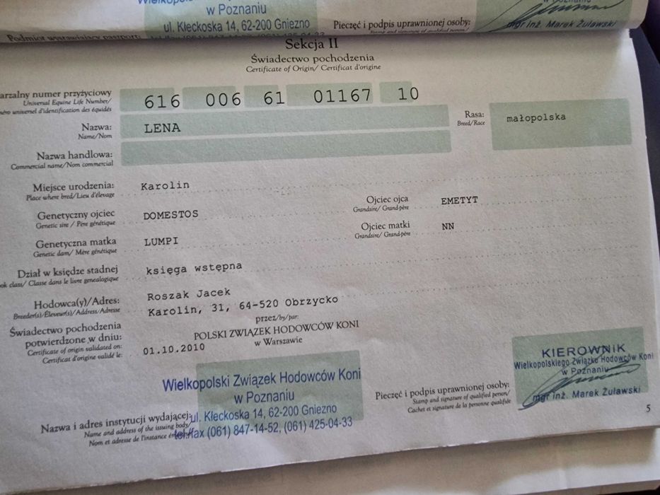 Sprzedam klacz młp