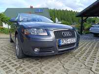 Audi A3 8P 1.9 TDI 2006r