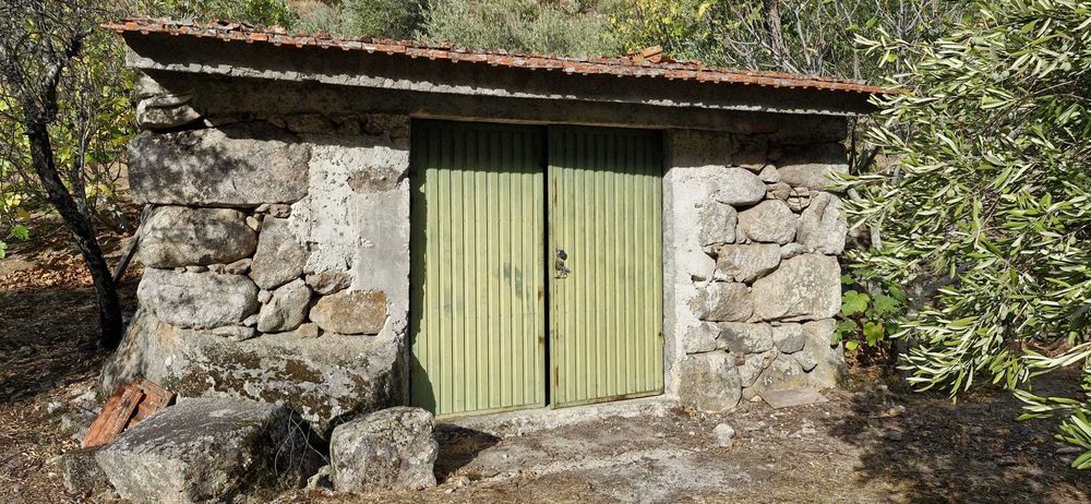 Terreno agrícola no Douro- 1,1 ha com poço, armazém e árvores de fruto