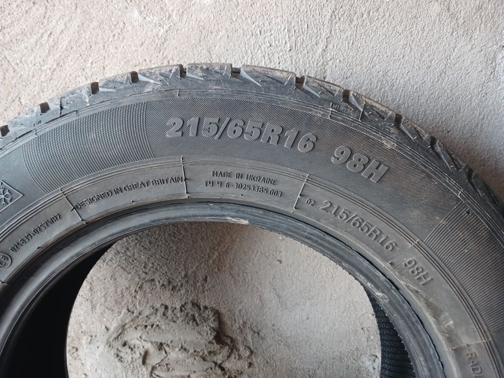 Зимові шини Premiorri ViaMaggiore Z Plus 215/65 R16 98H