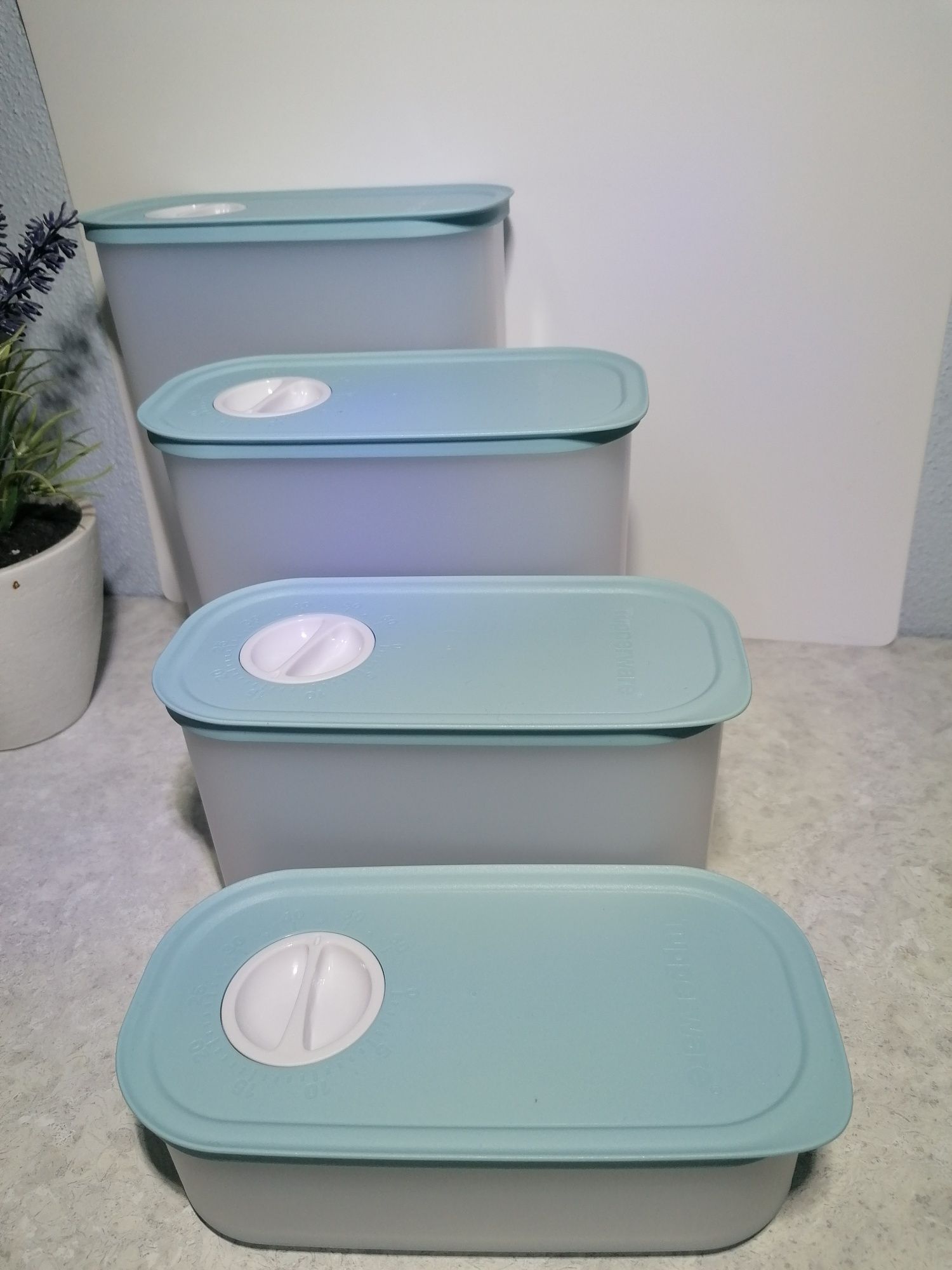 Conjunto de Pontuais Tupperware