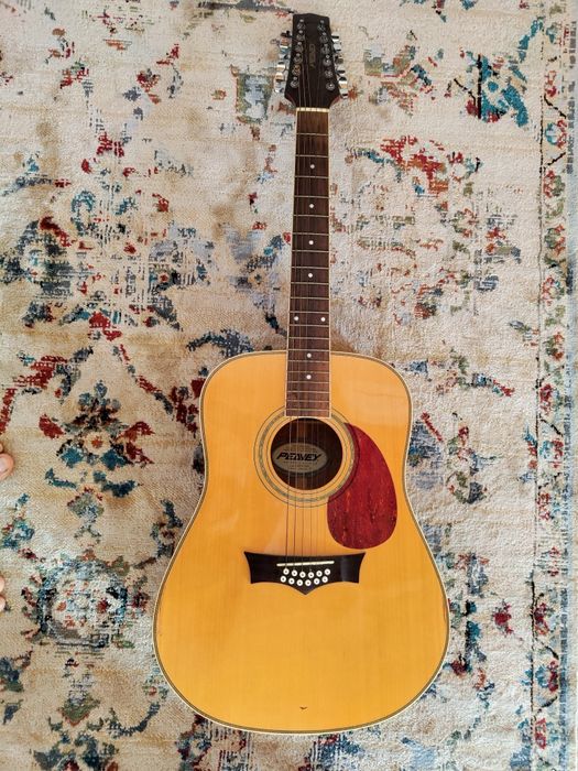 Guitarra acústica peavey