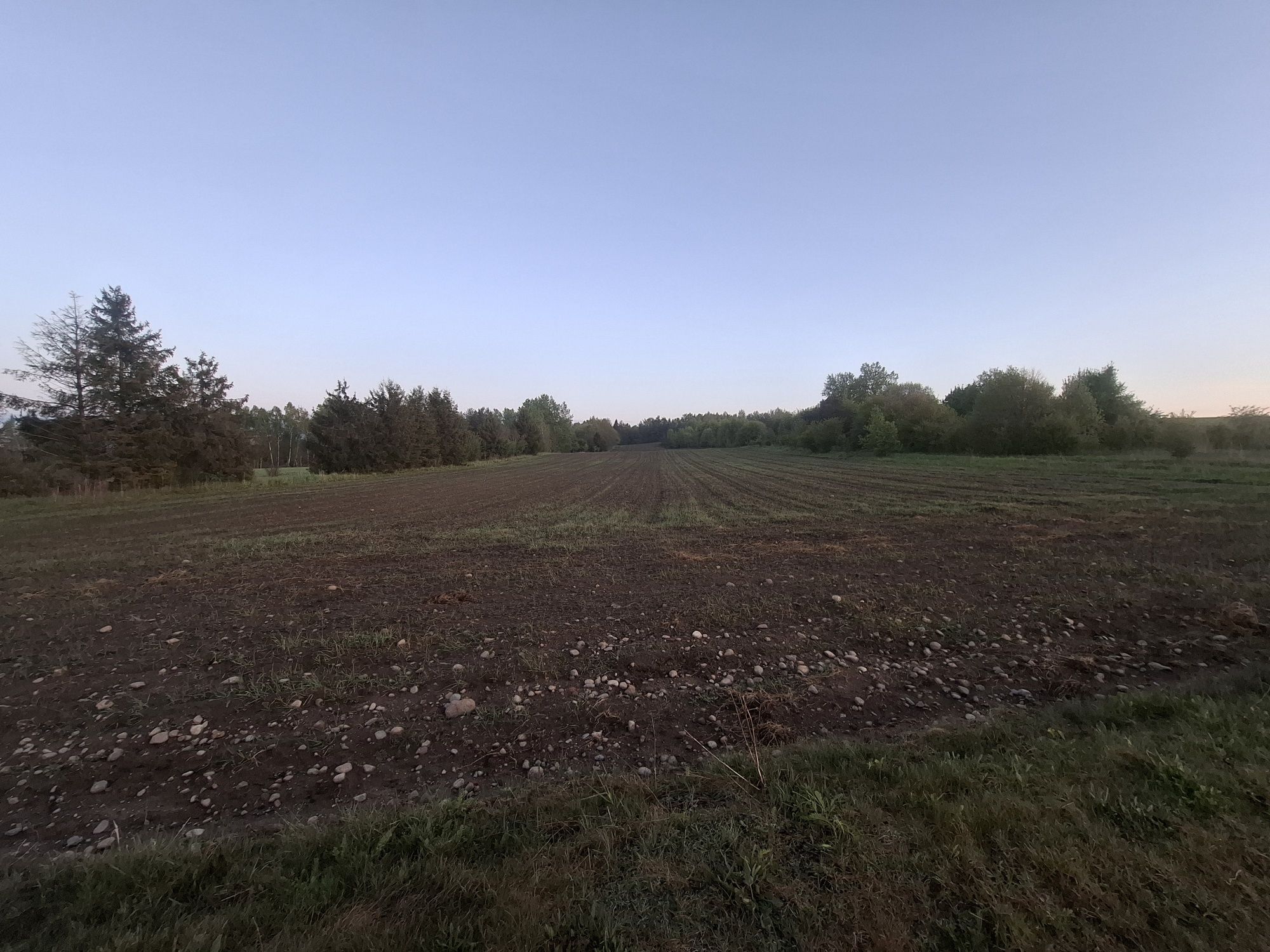 Działka Rolna numer 210 ( ZAGRODOWA )