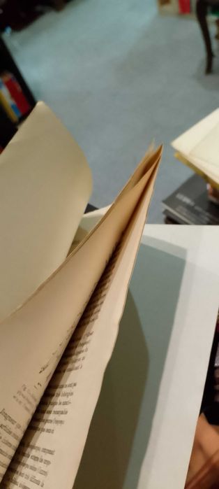 Nouveau genre et une nouvelle espèce d´Amphipode troglobie du Portugal