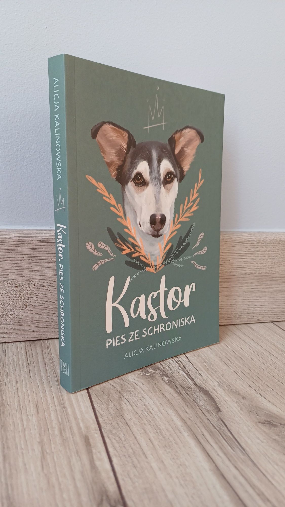 Kastor pies ze schroniska