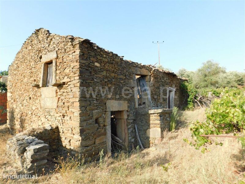 Terreno com ruina / Fundão, Enxames