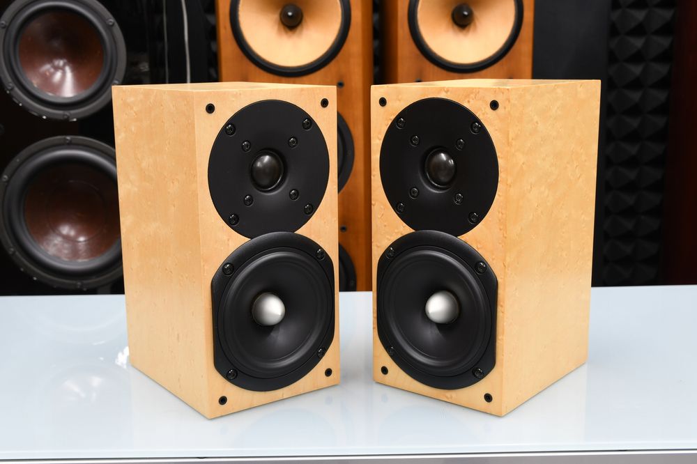 kolumny ścienne głośniki surround Monitory Avance Dana 610