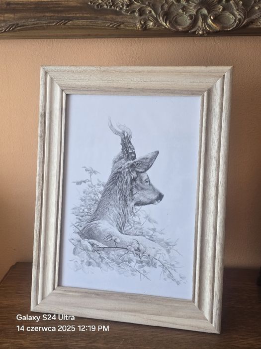 Grafika myśliwska KOZIOŁ Rogacz Sarna Europejska Myłkus. Polowanie.