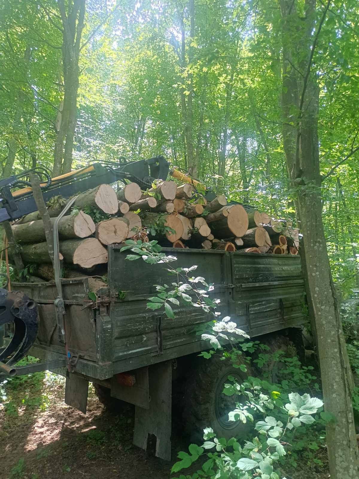 Дрова метровки рубані