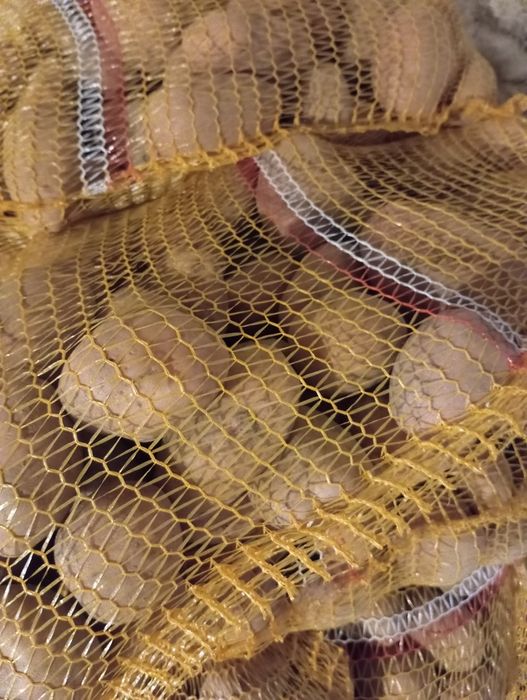 Ziemniaki  redsonia lawenda lili