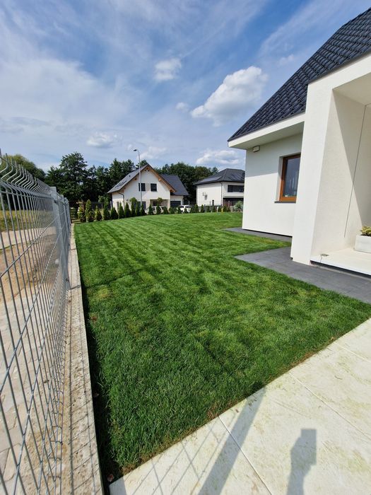 Producent Trawa z rolki POZNAŃ