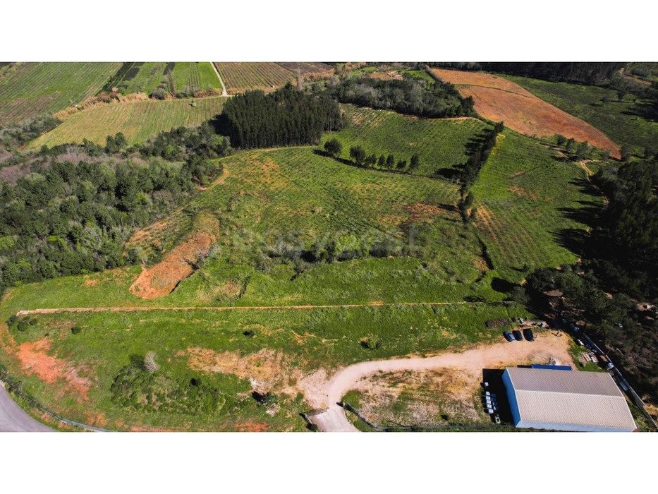 Armazém inserido num Terreno Urbano com 7500m2.