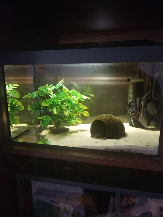 Akwarium Aquael LED w bardzo dobrym stanie 25 litrów 40 cm