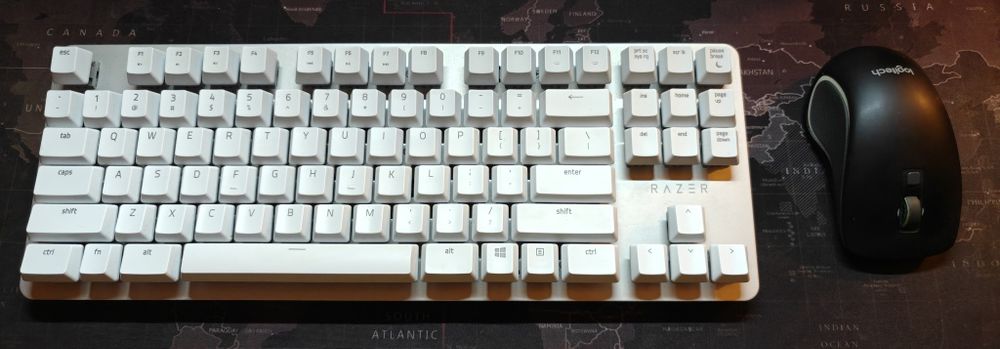 Teclado + Rato Razer BlackWidow Lite Mercury Logitech M560