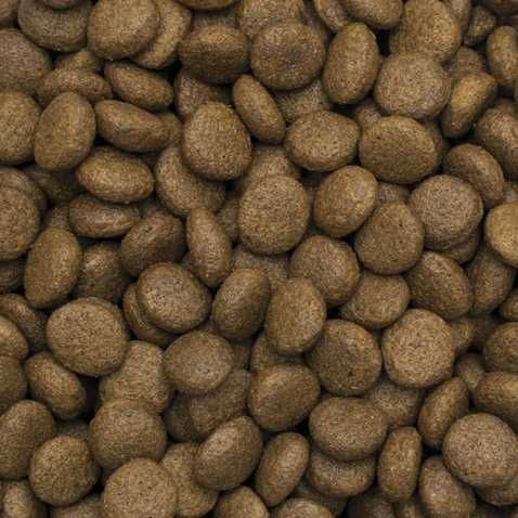 TROPIDOG PREMIUM Adult Lamb Rice 12kg karma dla psa