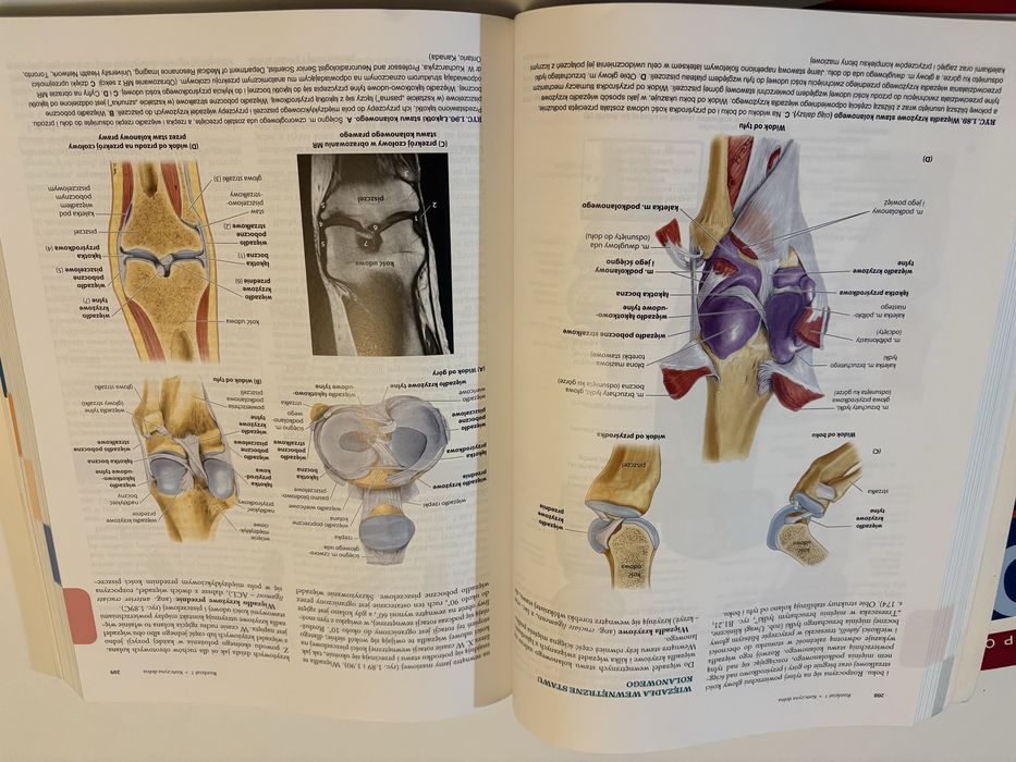 Anatomia kliniczna Moore tom 1+2 (komplet) NOWA