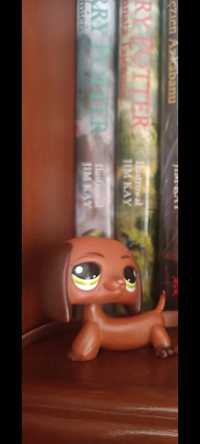 Jamniczek Littlest Pet Shop