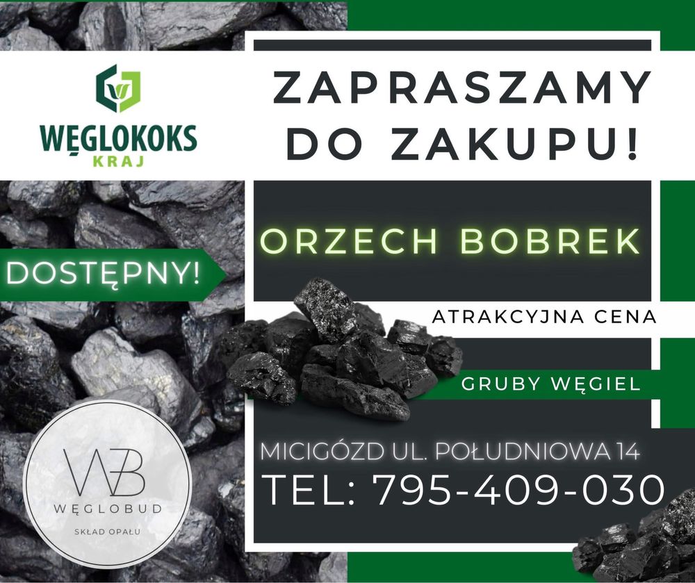 Węgiel Kostka Orzech Gruby Ekogroszek Groszek