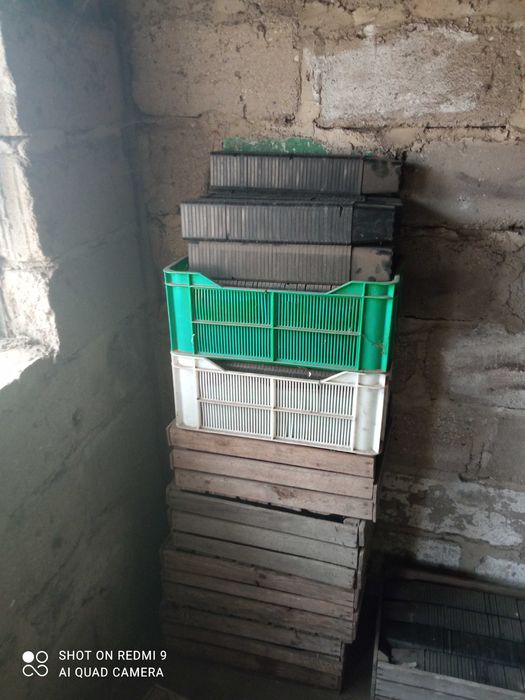 Doniczki do rozsady, doniczki produkcyjne