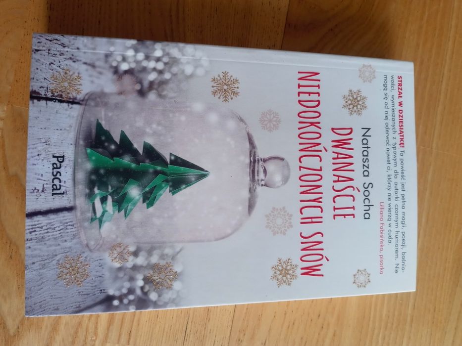 Natasza Socha Dwanaście niedokończonych snów