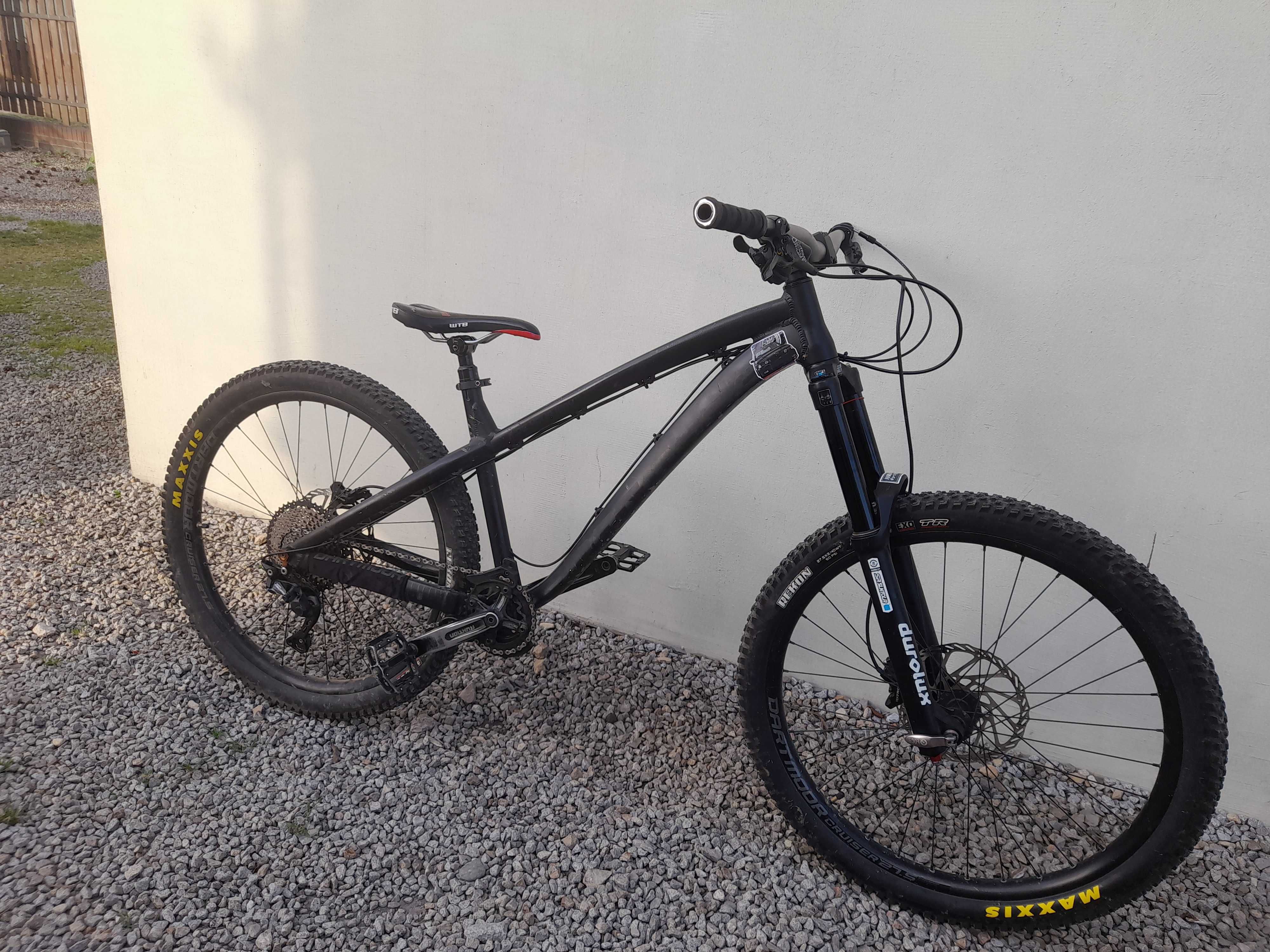 Dartmoor hornet 2020