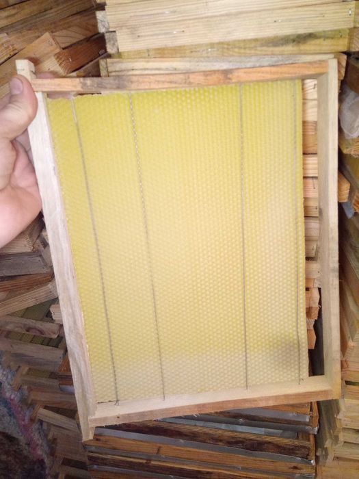 Colmeias com enxames eutros equipamentes