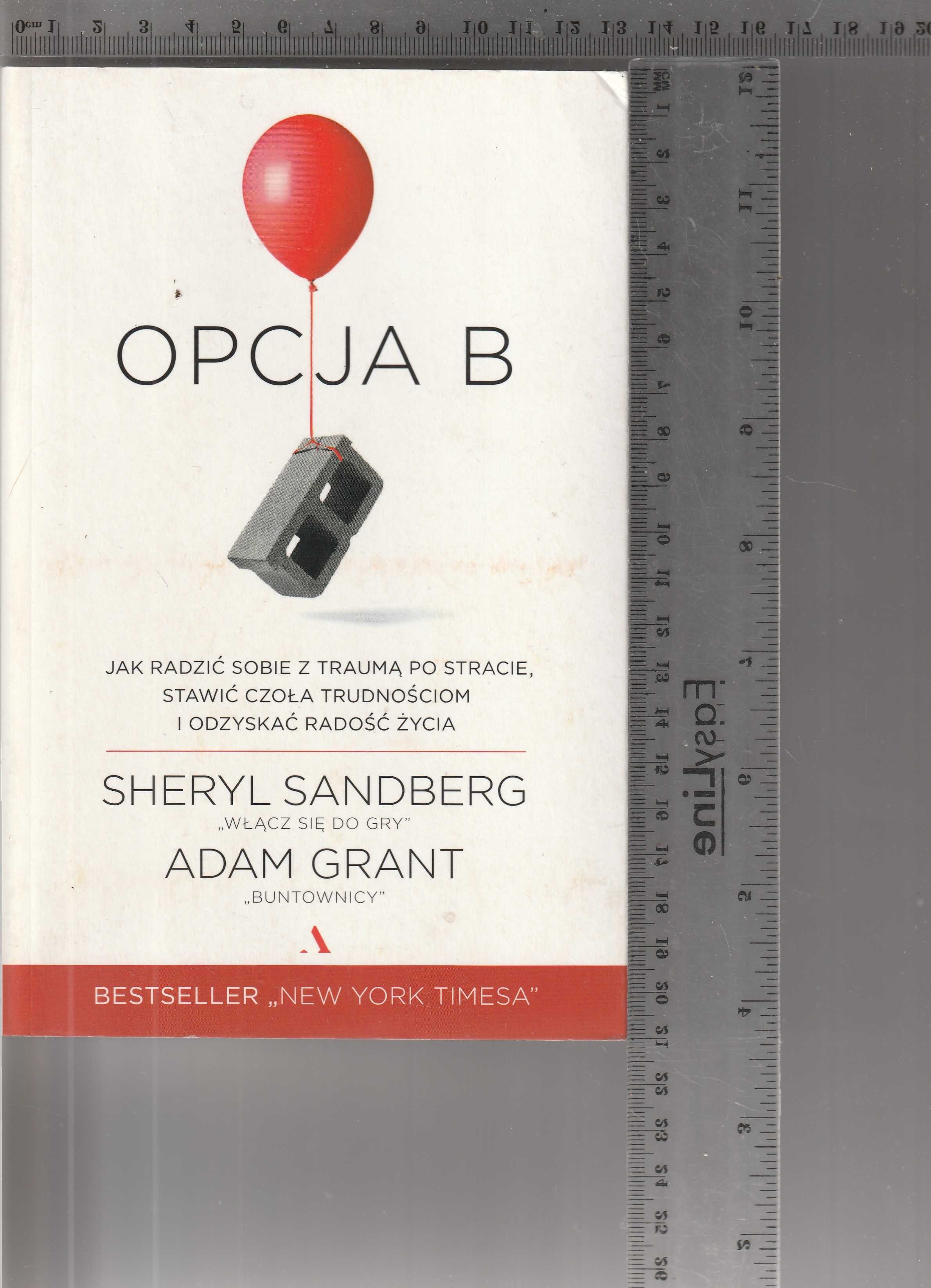 Opcja B Adam Grant, Sheryl Sandberg